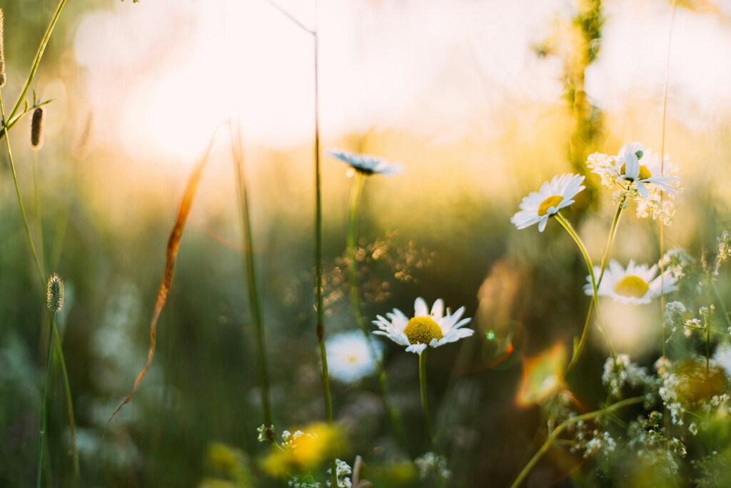 How to Prepare Your HVAC System for Spring