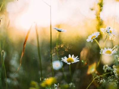 How to Prepare Your HVAC System for Spring